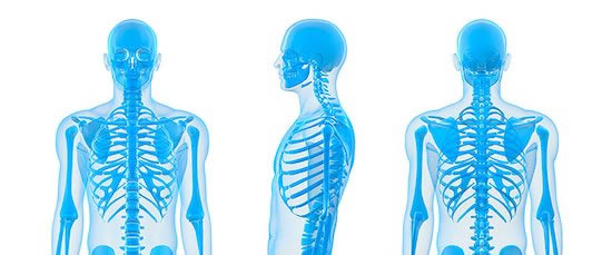 Disordini cranio-cervico-mandibolari e Articolazione Temporo Mandibolare