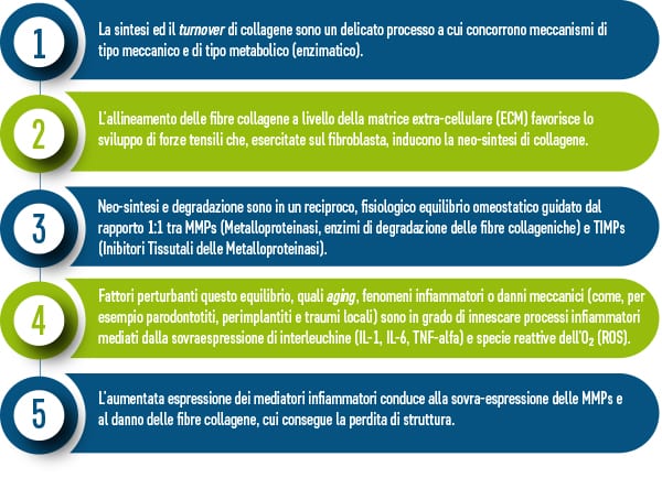 Odontoiatria Fisiologica di Regolazione